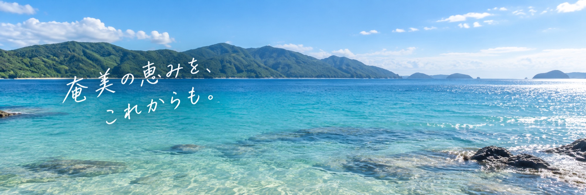 加計呂麻島の海。奄美の恵みを、これからも。